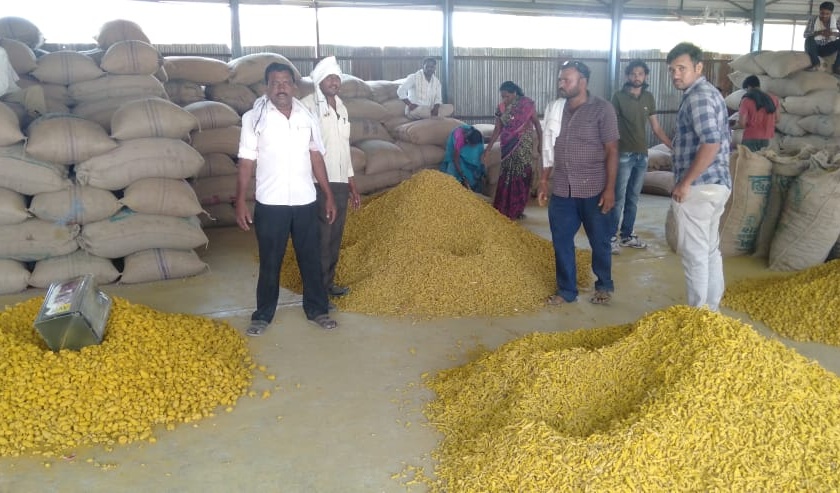 Market for turmeric growers in Manora | मानोऱ्यातील हळद उत्पादकांना हक्काची बाजारपेठ