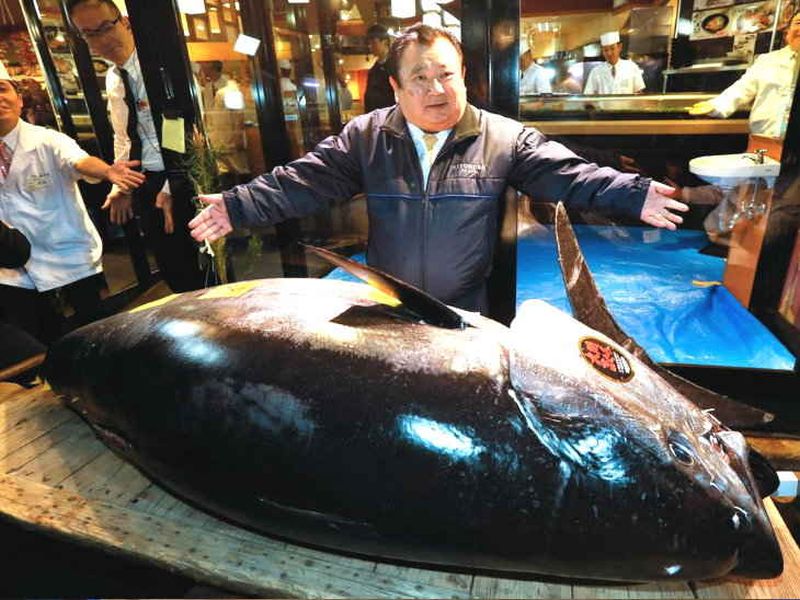 Japan Bluefin Tuna fish makes a record and soldin crores in Japan | २१.५ कोटी रुपयांना विकला गेला 'हा' २७८ किलो वजनी मासा!