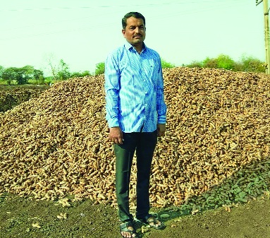 Haldi record production in Ardhapur taluka | अर्धापूर तालुक्यात हळदीचे विक्रमी उत्पादन