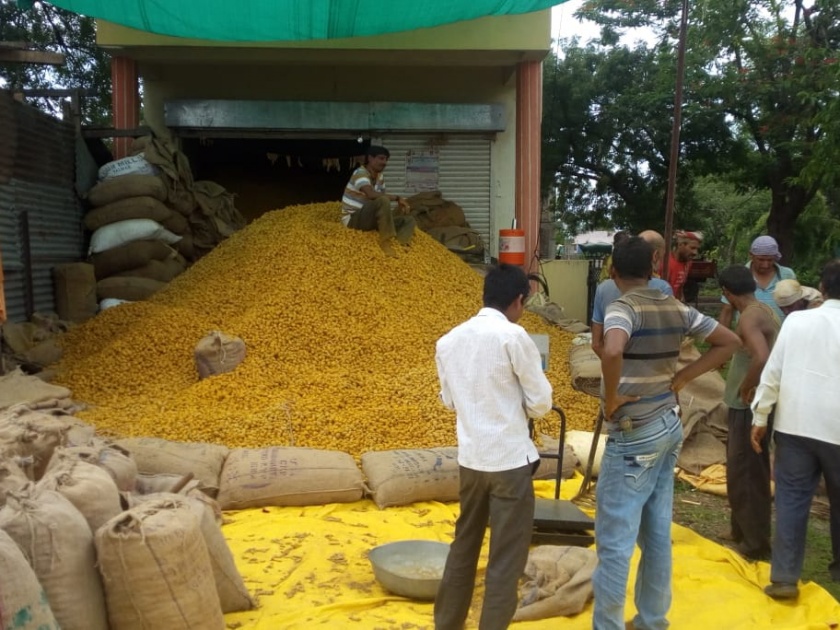 turmeric get Rs 7000 per quintal rate in shirpur market | हळदीला प्रती क्विंटल सात हजार रुपये दर !