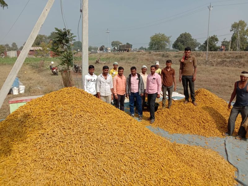 Purchase of turmeric in Shirpur from Marathwada traders | मराठवाड्यातील व्यापाऱ्यांकडून शिरपुरात हळद खरेदी  