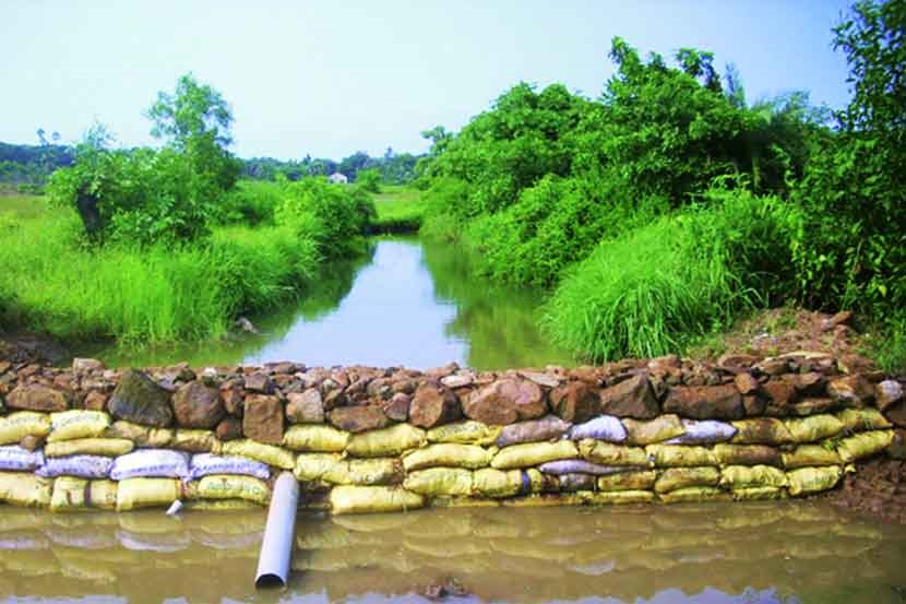 Big decision; 1000 Vanrai dams will be constructed in Solapur district | मोठा निर्णय; सोलापूर जिल्ह्यात १ हजार वनराई बंधारे बांधण्यात येणार