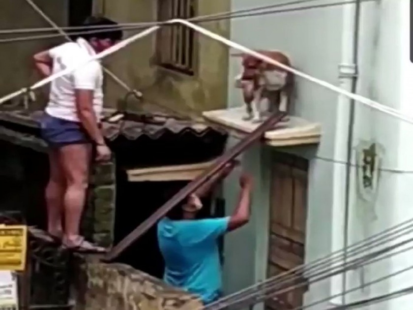 Watch viral video of straw dog this two men saves his life in amphan cyclone myb | Video : रिअल हीरो! अम्फान चक्रीवादळात अडकलेल्या मुक्या जनावरासाठी देवदूत ठरले 'ते' दोघं