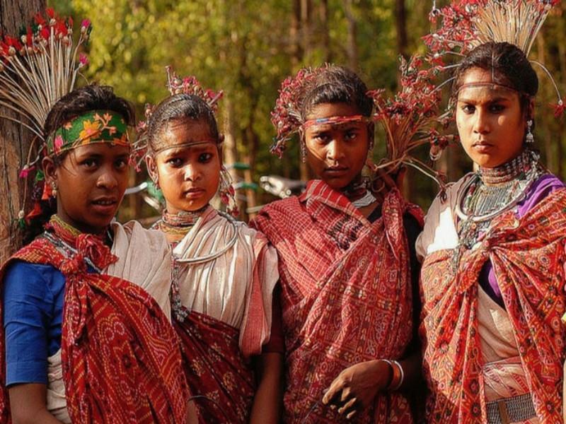 government does not sanction money for tribal film festival | आदिवासी चित्रपट महोत्सवासाठी योजनाच नाही