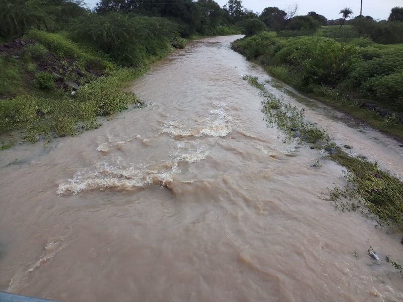 Heavy rainfall in eight circles in Lohara, Umaraga, Tuljapur | लोहारा, उमरगा, तुळजापुरातील आठ मंडळात अतिवृष्टी
