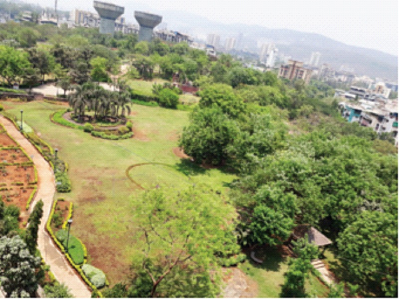 No penalty from park contractor in the city, approval of bills showing work done in Navi Mumbai | शहरात उद्यान ठेकेदाराकडून दंडवसुली नाही, नवी मुंबईत कामे झाल्याचे दाखवून बिलांना मंजुरी