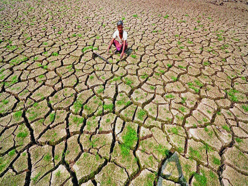 In the drought-hit Maharashtra, the work of Rohoicha jam | दुष्काळग्रस्त महाराष्ट्रात रोहयोची कामे ठप्प
