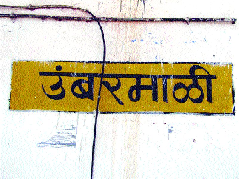 Railway official stop at Umambarali station | उंबरमाळी स्थानकात रेल्वेचा अधिकृत थांबा