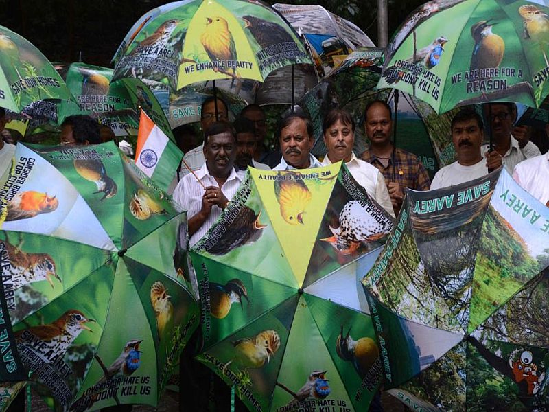 Message to protect the environment through different umbrellas | आगळ्यावेगळ्या छत्रांच्या माध्यमातून पर्यावरणाचे रक्षण करण्याचा संदेश