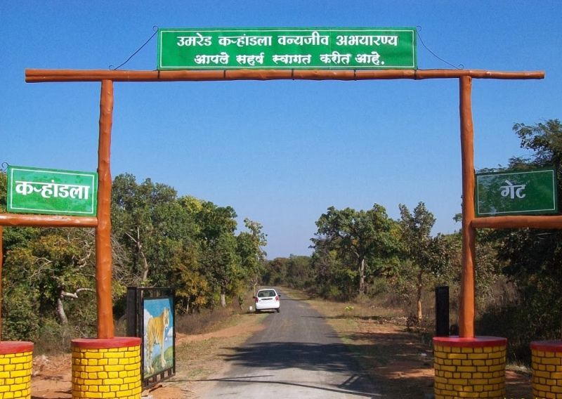 The Umred-Karhandala Sanctuary will be rehabilitated in three villages | उमरेड-कऱ्हांडला अभयारण्य विस्थापितांचे तीन गावांमध्ये होणार पुनर्वसन