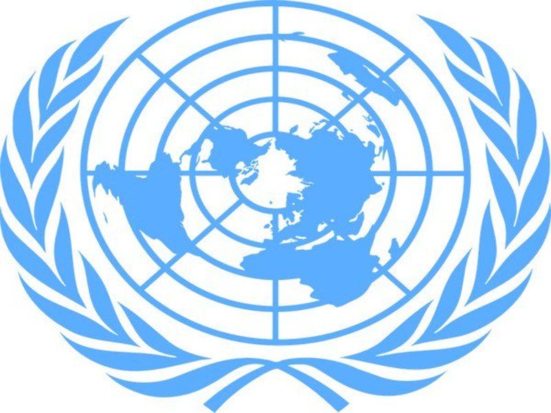 Pulwama attack : resolution passed by the UNSC | पुलवामा हल्ला भ्याड आणि अक्षम्य, संयुक्त राष्ट्रांच्या सुरक्षा परिषदेने केला निषेध 
