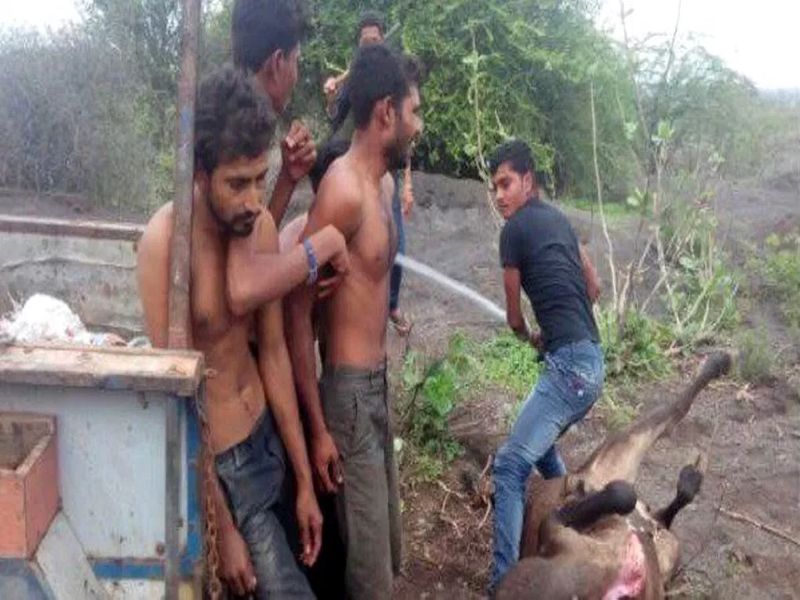 BJP MLA present Una Dalits assaulted by cow vigilantes adopt Buddhism | गोरक्षकांनी मारहाण केलेल्या दलितांनी केला हिंदू धर्माचा त्याग