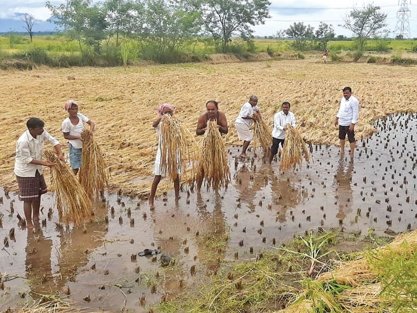 2 crore compensation; Relief for 3 thousand farmers | ३४ कोटींची नुकसानभरपाई; ७७ हजार शेतकऱ्यांना दिलासा