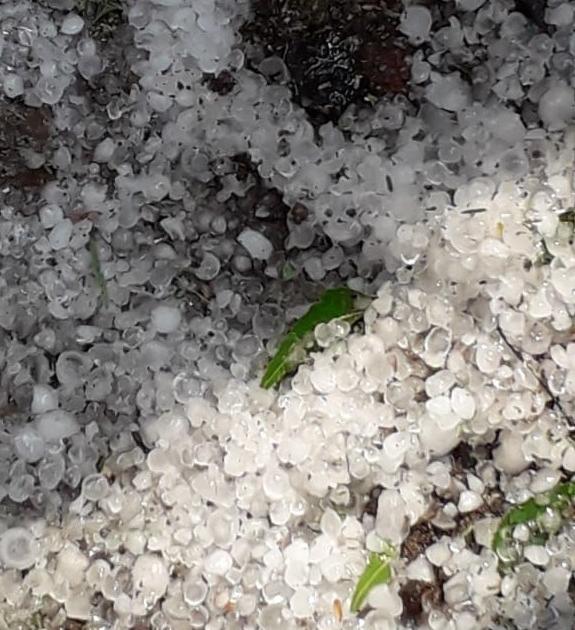 Arrival of unseasonal rains in Vidarbha with hail; Danger to harvested grain | विदर्भात अवकाळी पावसाचे गारांसह आगमन; कापणीच्या धानाला धोका