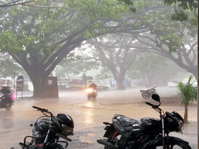 Rains return to Nashik city area | नाशिक शहर परिसरात पावसाचे पुनरागामन ; रिमझीम सरींनी वातावरणात गारवा