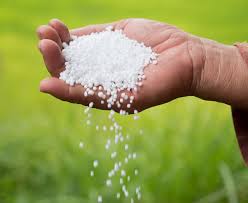 Demand of urea, DAP; 5.50 lakh metric fertilizer available in Verhad | युरिया, डीएपीची मागणी वाढणार; वऱ्हाडात  ५.५० लाख मेट्रिक खत उपलब्ध