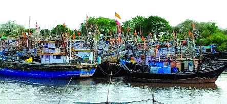 Hunger crisis on fishermen in Uran | उरणमधील मच्छीमारांवर उपासमारीचे संकट