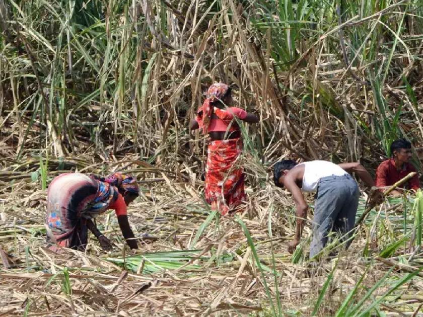 Sugarcane will be given a single rate of Rs 3001 per ton?, decision in the meeting of four sugar mills in Kolhapur | उसाला एकरकमी प्रतिटन ३००१ रूपये दर देणार?, कोल्हापुरातील चार साखर कारखान्याच्या बैठकीत निर्णय