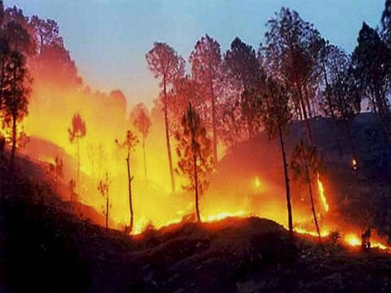 Fire in village of Uttarakhand | शेकोटीसाठी लावलेल्या आगीत अख्खं गाव जळून खाक, 100 जनावरांचा होरळपून मृत्यू