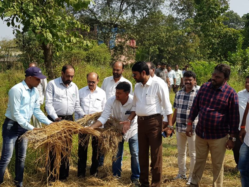 Shiv Sena monitors agricultural losses in Kalyan Rural | कल्याण ग्रामीणमध्ये शिवसेनेकडून शेतीच्या नुकसानीची पाहणी