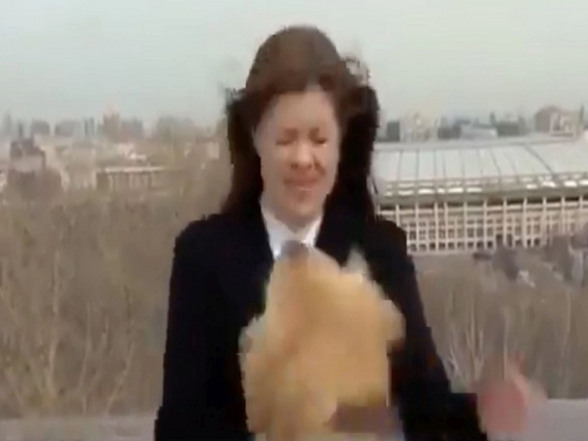 Viral Video : Dog grabbed reporter mic and ran away during live in russia | बोंबला! टिव्हीवर लाईव्ह होती रिपोर्टर; अचानक कुत्र्यानं हातातला माईक खेचला, अन् मग.... पाहा व्हिडीओ