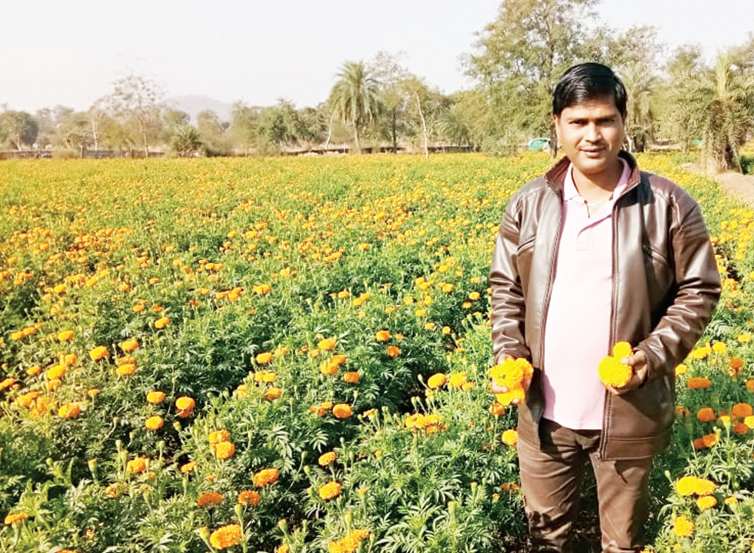 Kalpesh Patil from Ambeda Lakhpati from Zendu Agriculture | नोकरी न करता कल्पेश पाटील या तरूणाने घेतली यशस्वी झेप; वर्षभरात झाला लखपती