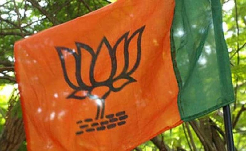 Maharashtra Election 2019: Independent candidates dissatisfied with BJP | Maharashtra Election 2019 : भाजपमधील असंतुष्टांची अपक्ष उमेदवारांना साद; पडद्यामागून खेळी