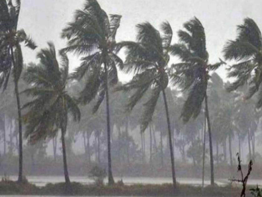 Horticulturalists worried due to storm warning, chances of rain in Konkan | वादळाच्या इशाऱ्यामुळे बागायतदार चिंतेत, कोकणात पावसाची शक्यता 