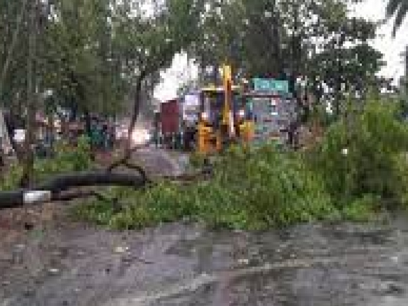 Stormy rain in and around Vaibhavwadi city, Trees fell, traffic stopped | वैभववाडीत वादळी पावसामुळे दाणादाण; झाडे कोसळली, वाहतूक ठप्प, जनजीवन विस्कळीत