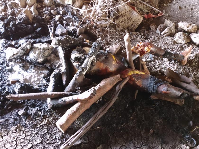 bodies of half-burnt men and women found under the bridge at Vaijapur | वैजापुर- येवला रोडवरील पुलाखाली स्त्री-पुरुषाचे अर्धवट जळलेले मृतदेह आढळल्याने खळबळ