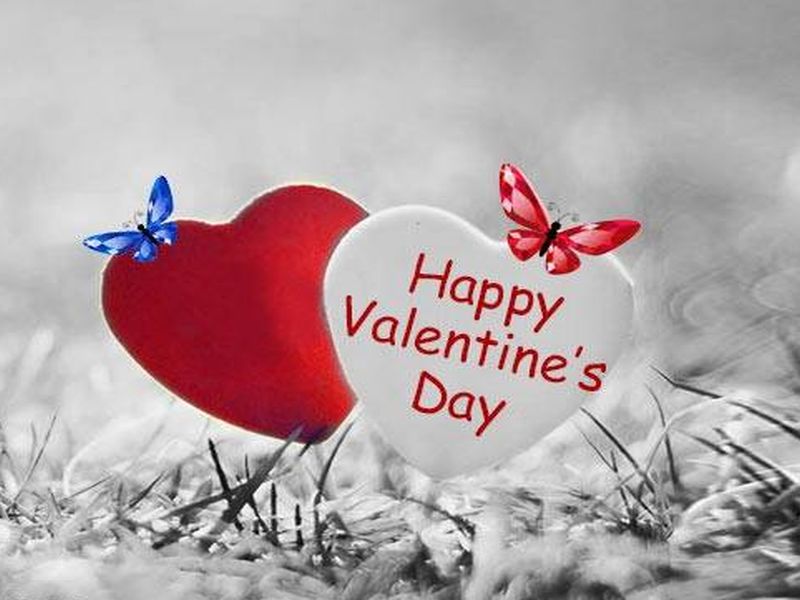 Valentine Day: Wishes quotes, Greetings, Whatsapp status and messages | Valentine Day : 'या' सुंदर शब्दांनी व्यक्त करा तुमच्या खास भावना!