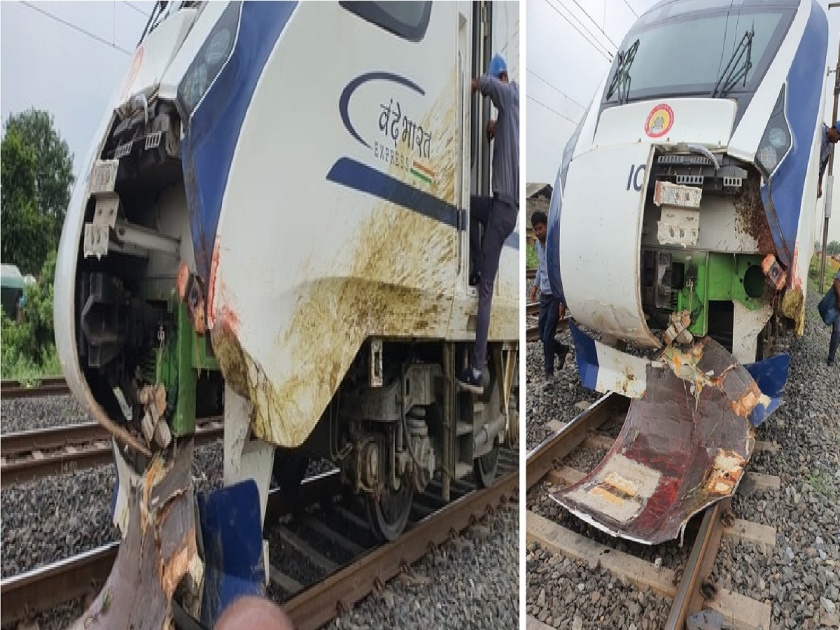 Vande Bharat Train Accident: 'Vande Bharat Train' was hit by buffaloes, Railway filed a case against the owners | Vande Bharat Train Accident:अजब कायदा; 'वंदे भारत ट्रेन'ला म्हशी धडकल्या, रेल्वेने मालकांविरोधात दाखल केला गुन्हा