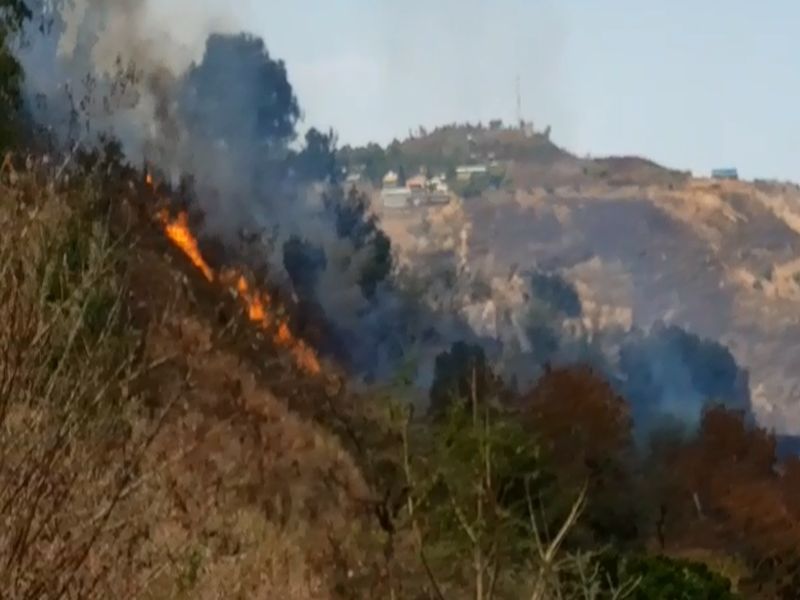 Wild fire in Pasarani Ghat at Vai | जागतिक वन दिनाच्या पूर्वसंध्येलाच वाईजवळच्या पसरणी घाटात महाकाय वणवा, हजाराे एकरवरील वनसंपदा जळून खाक