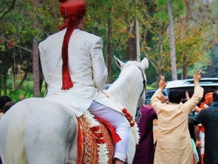 horse carrying the bridegroom was stolen, Crime news Marriage incident | वरातीत नवरदेवाला घेऊन जाणारा घोडाच केला चोरी
