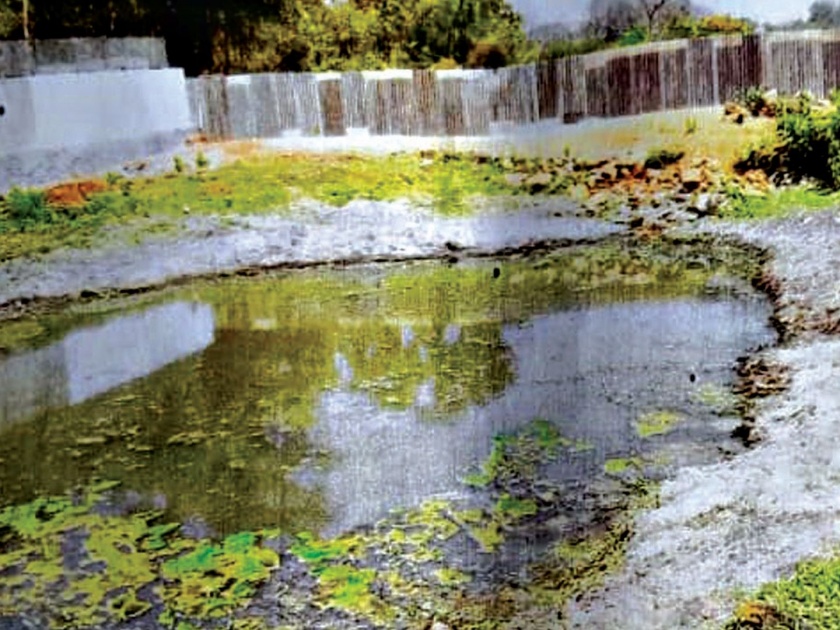 Theft of the pond by throwing water | भराव टाकून वरसावे तलावाची चोरी