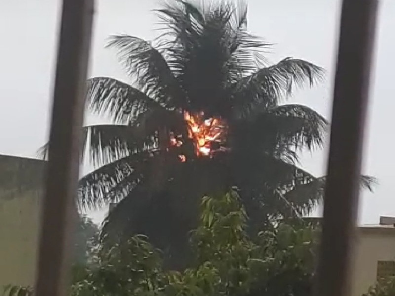 A tree was burn due to fall down lightning at Vikasnagar, Kiwale | विकासनगर, किवळे येथे वीज पडल्याने झाडाने घेतला पेट