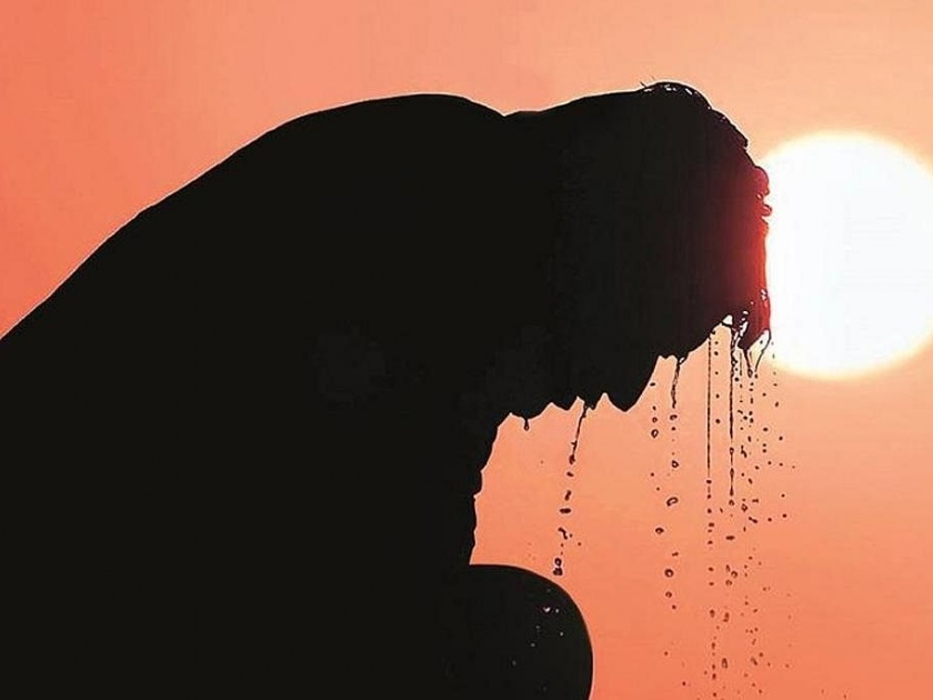 5 heat stroke deaths in nagpur in 13 days | उन्हाचा तडाखा, १३ दिवसांत उष्माघाताचे ५ मृत्यू; रुग्णसंख्येत ६४ टक्क्यांनी वाढ