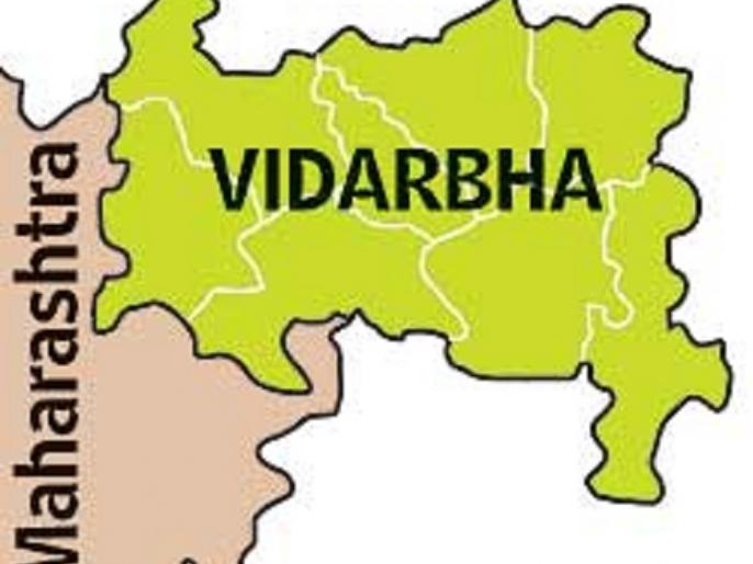  In the special development plan, bends measure to the eastern Vidharbha | विशेष विकास आराखड्यात पूर्व विदर्भाला झुकते माप 
