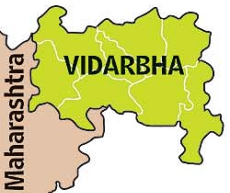 Mission VII is now a separate Vidarbha state; Action plan of the agitation committee prepared | स्वतंत्र विदर्भ राज्यासाठी आता ‘मिशन २०२३’; आंदोलन समितीचा अ‍ॅक्शन प्लॅन तयार