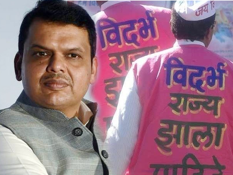 Maharashtra Vidhan Sabha Election 2019: Separate Vidarbha supporters are getting ready for Assembly Election | विदर्भवाद्यांना विधानसभेचे वेध; दिग्गजांना घाम फोडणार की 'डिपॉझिट'ही जाणार?