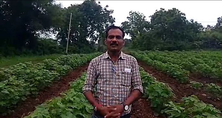  Promoting farmers' honorarium scheme through Banjara dialect; Video viral across the state | बंजारा बोलीतून शेतकरी मानधन योजनेचा प्रचार; राज्यभरात व्हिडीओ व्हायरल 