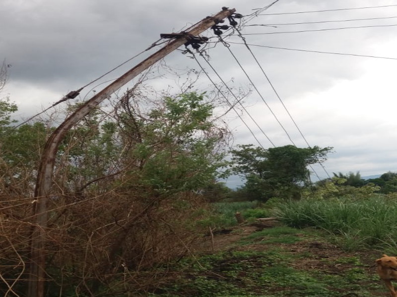 Hurricane Taukte hits! Power supply to more than 3 lakh customers disrupted in Baramati | तौक्ते चक्रीवादळाचा तडाखा! बारामतीत ३ लाख पेक्षा जास्त ग्राहकांचा वीजपुरवठा विस्कळीत
