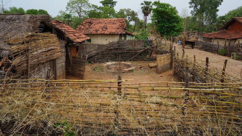 How to remove villages in Tadoba | ताडोबातील गावे कशी हटविणार