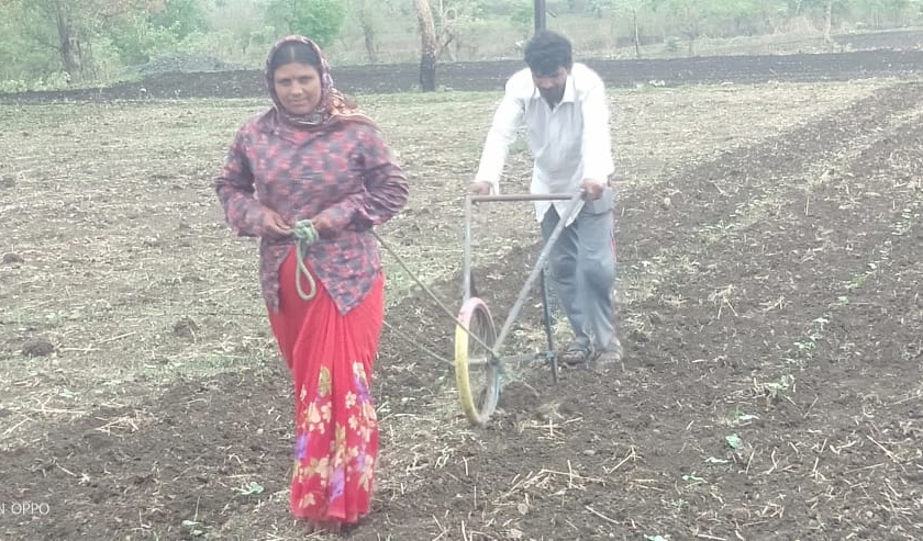 Women farmer working in field | संसाराचा गाडा हाकण्यासाठी विमलबाई बनली धुरकरी !