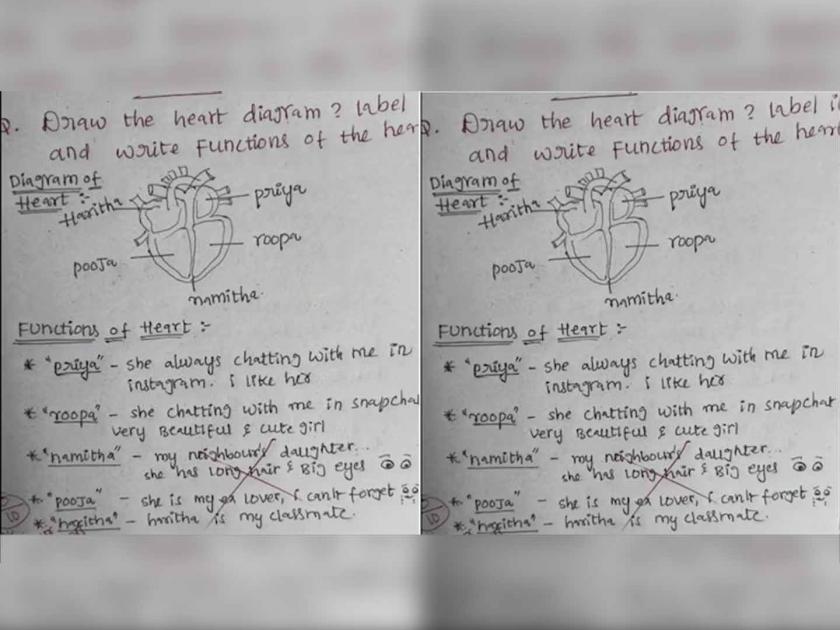 Student draw diagram of heart in exam wrote girlfriends names in different inside | पेपरमध्ये विद्यार्थ्याने काढली हृदयाची आकृती, त्यात जे लिहिलं ते वाचून शिक्षक हैराण