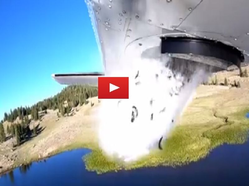 Viral video Utah : Plane dropped thousands fish in lake | Video : विमानातून नदीत का फेकले जाताहेत हे मासे?