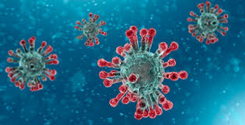 Corona infection 'downfall' begins in Malkapur! | मलकापूरमध्ये कोरोना संसर्गाचा ‘डाऊनफॉल’ सुरू!