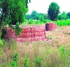 Due to ownership of Akola district, soil use on bits | अकोला जिल्हय़ात स्वामित्वधन बुडवून वीटभट्ट्यांवर मातीचा वापर
