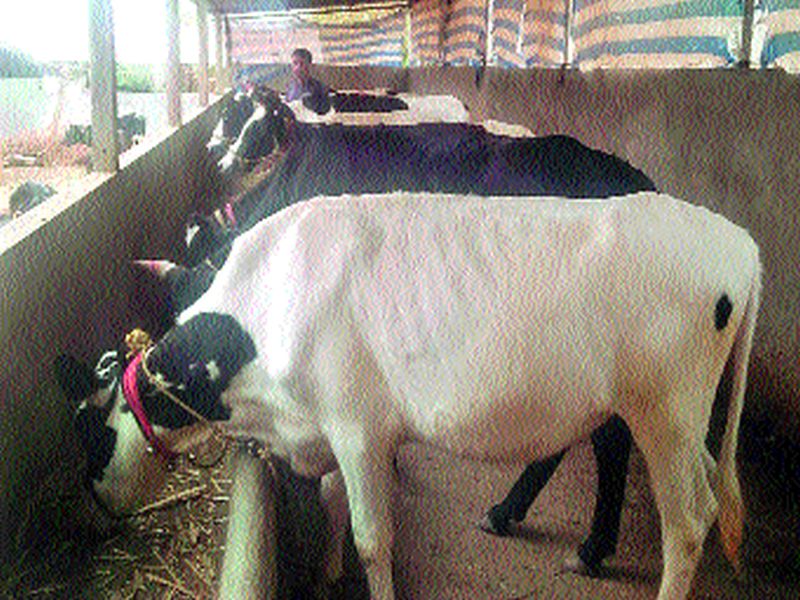 Planting of milk producers | दूध उत्पादकांचा जीव टांगणीला
