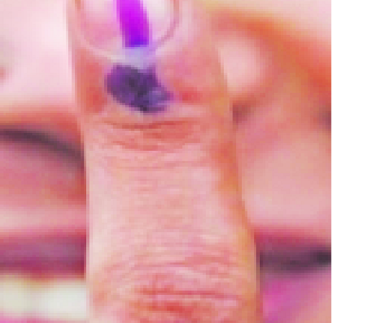In Khedgaon, 5 percent voting in Govardhan group | खेडगावला ४५, तर गोवर्धन गटात ४३ टक्के मतदान